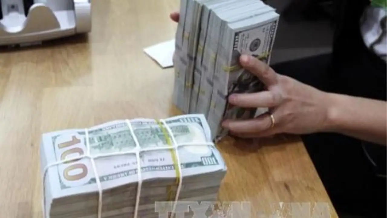 انخفاض سعر صرف الدولار الأمريكي في السوق السوداء بمقدار 5 دونغ اليوم